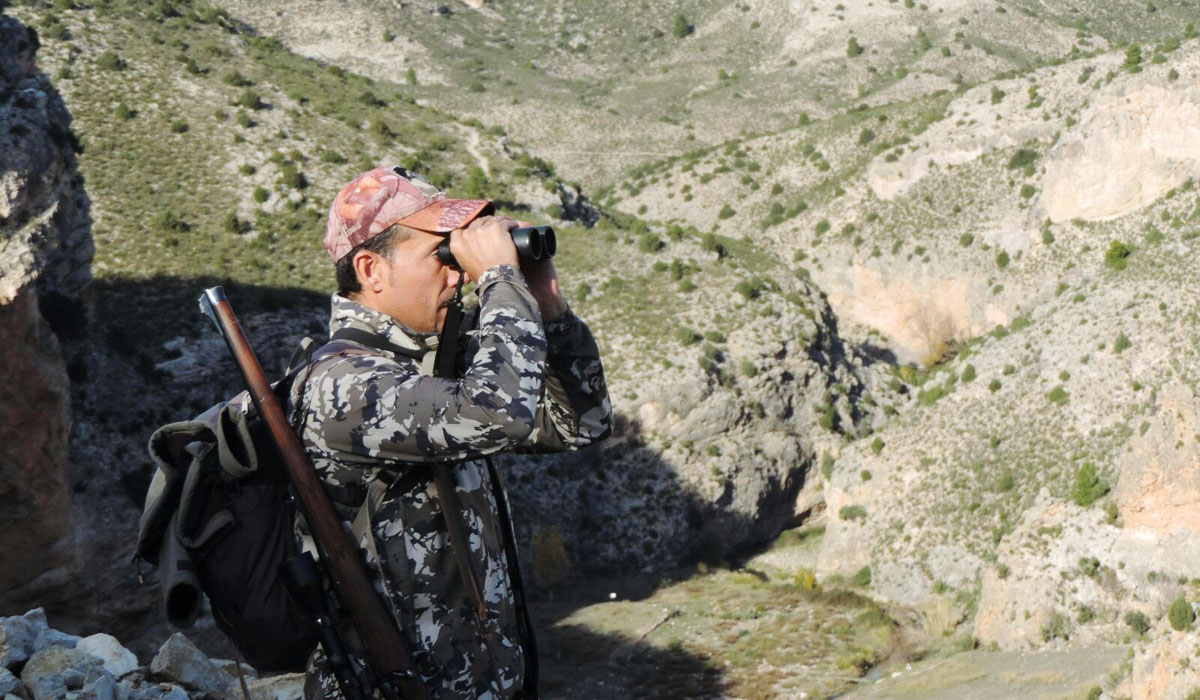 Pedro Pablo Alejandre professional hunter glassing with his binoculars in the Beceite Ibex area, hunting in Spain