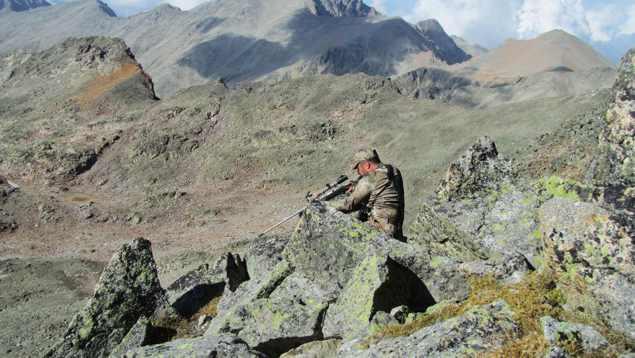 Hunter with rifle when hunting Kuban Tur in the Caucasus, hunting in Russia