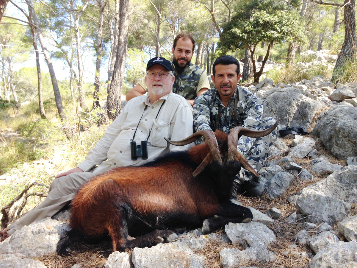Balearean boc hunting in Spain