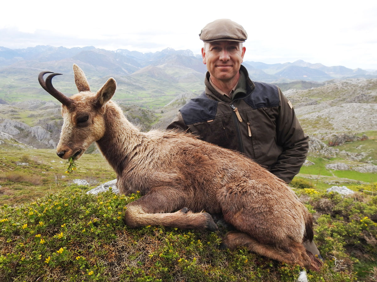 Cantabrian Chamois trophy hunt in Spain