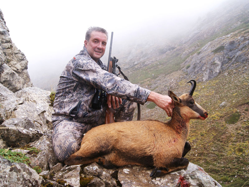 Cantabrian Chamois trophy hunt in Spain