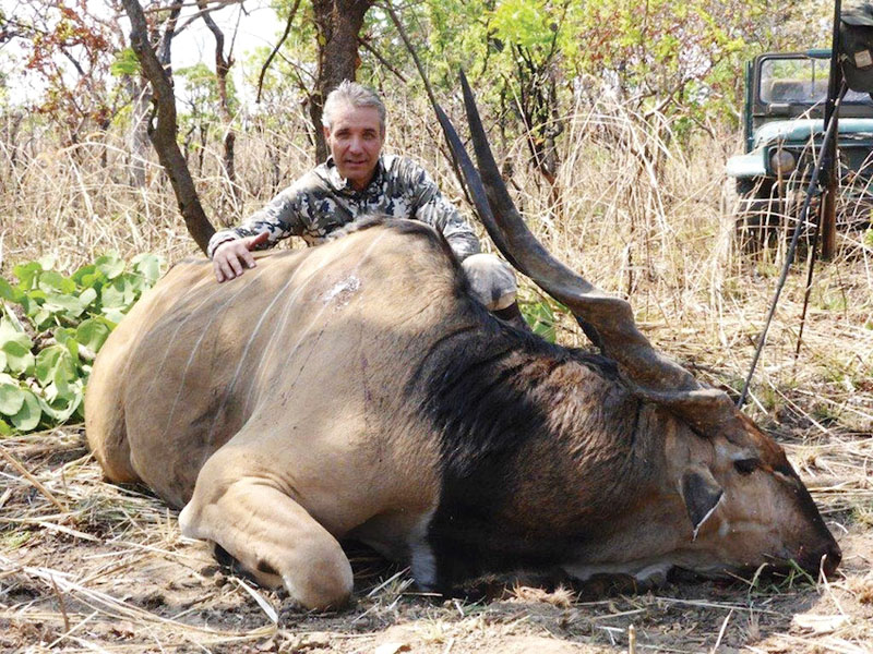 Huge Lord Derby hunted in Cameroon