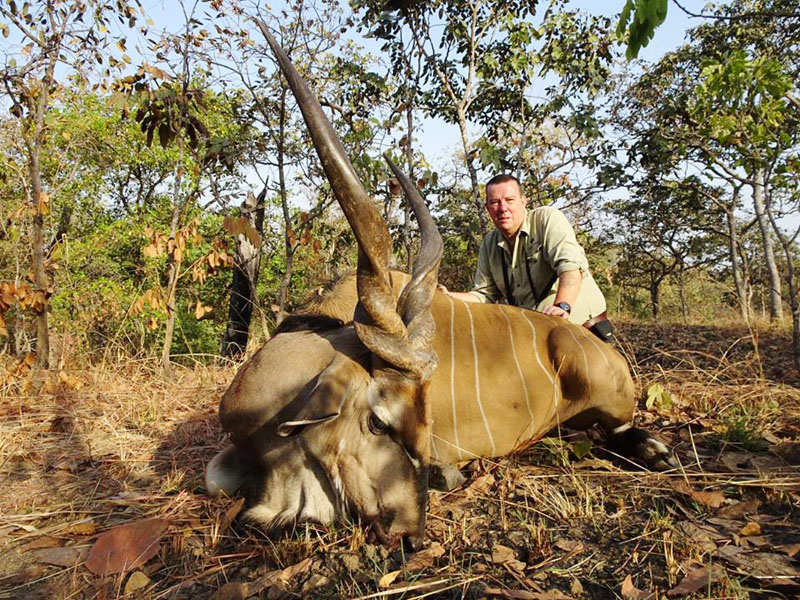 Lord Derby Eland trophy harvested in Cameroon