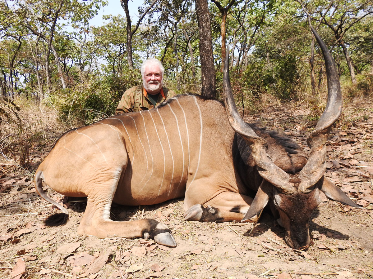 Excellent Eland hunted in Cameroon