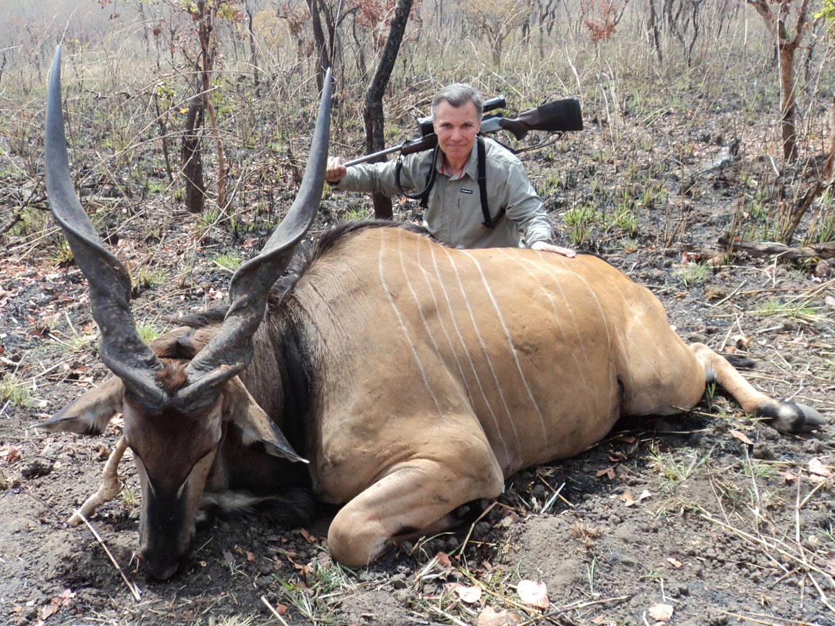 Lord Derby Eland hunt in Cameroon