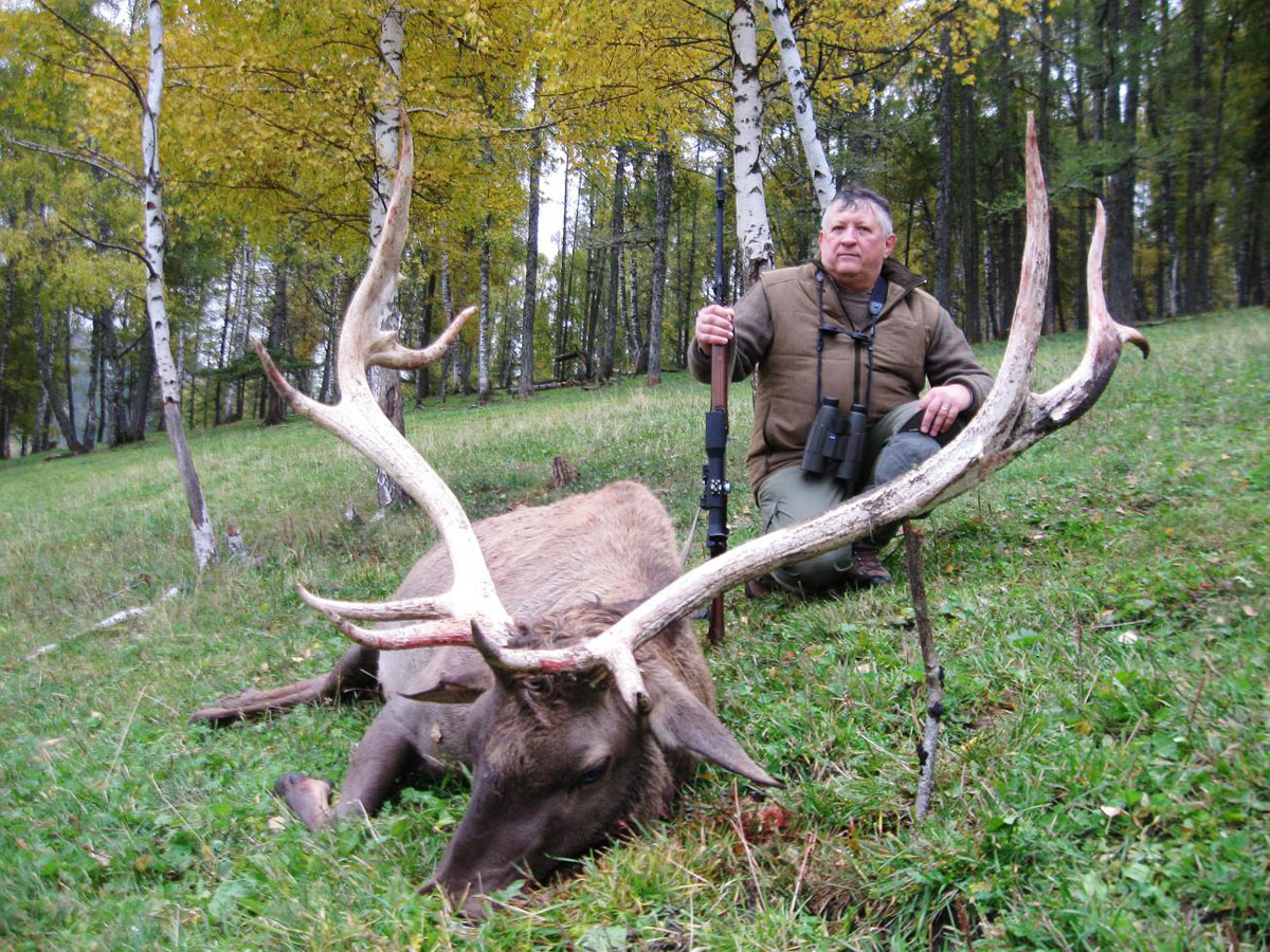 Maral stag trophy, hunting in Russia