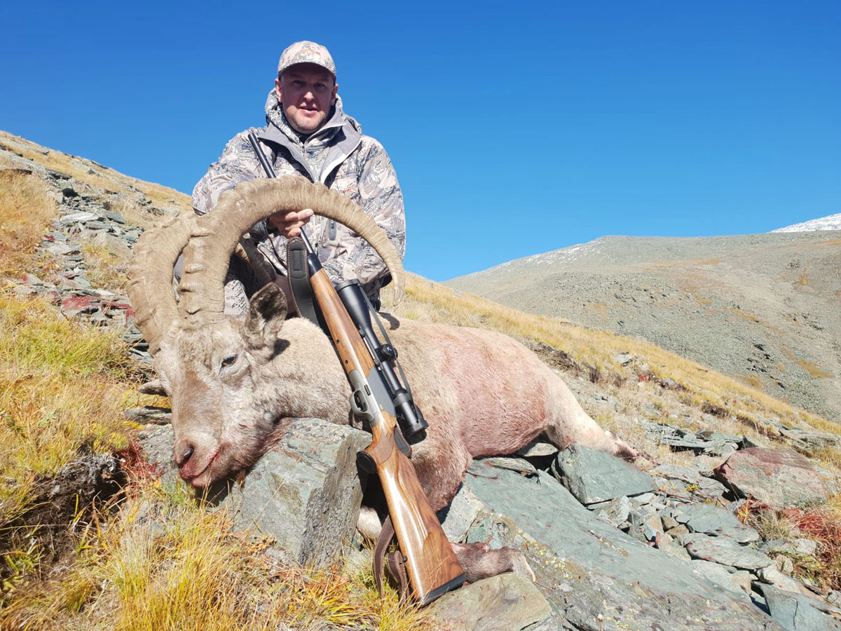 Altai ibex trophy, hunting in Russia