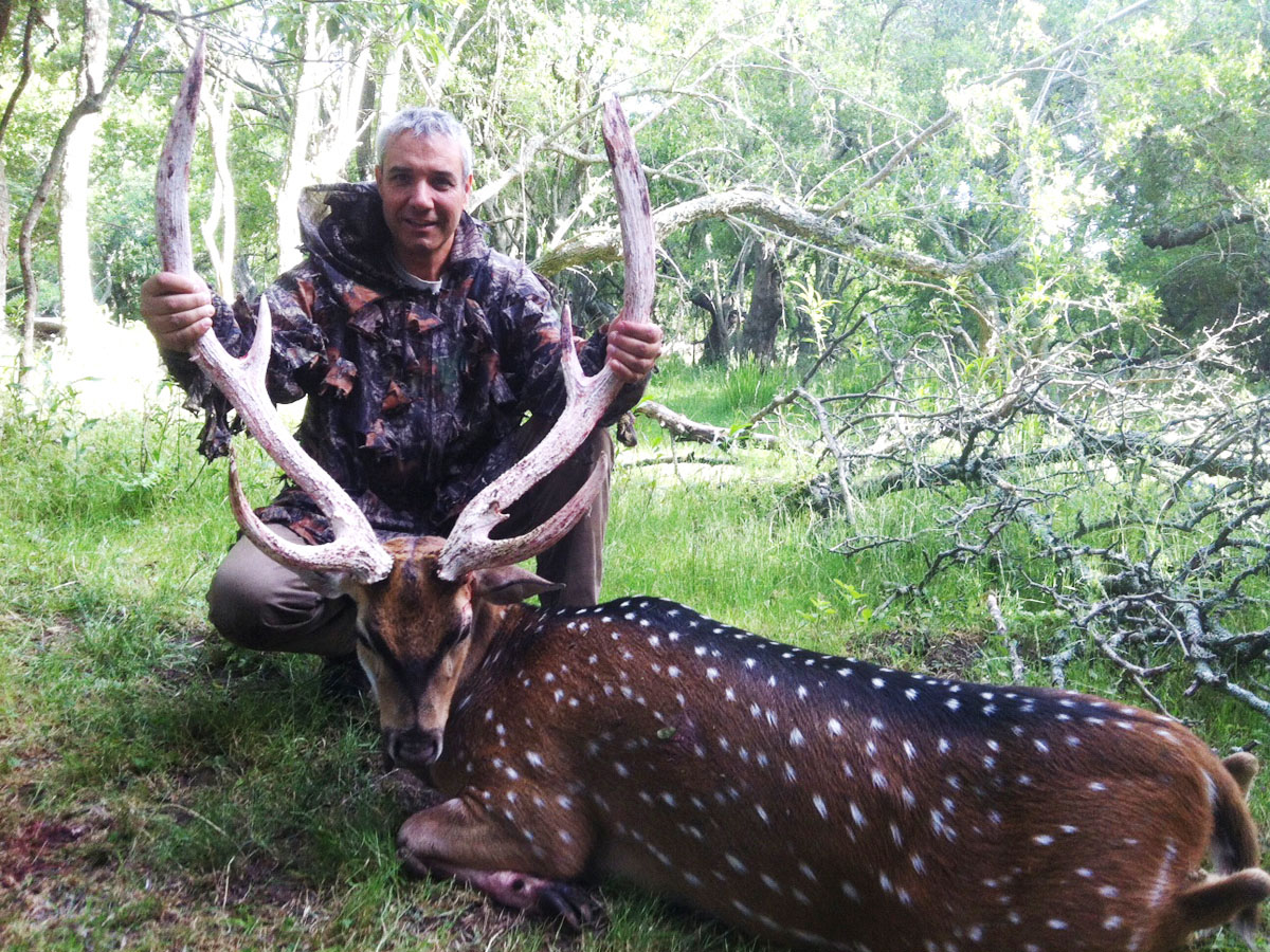 Hunter with an axis deer trophy, hunting in Argentina
