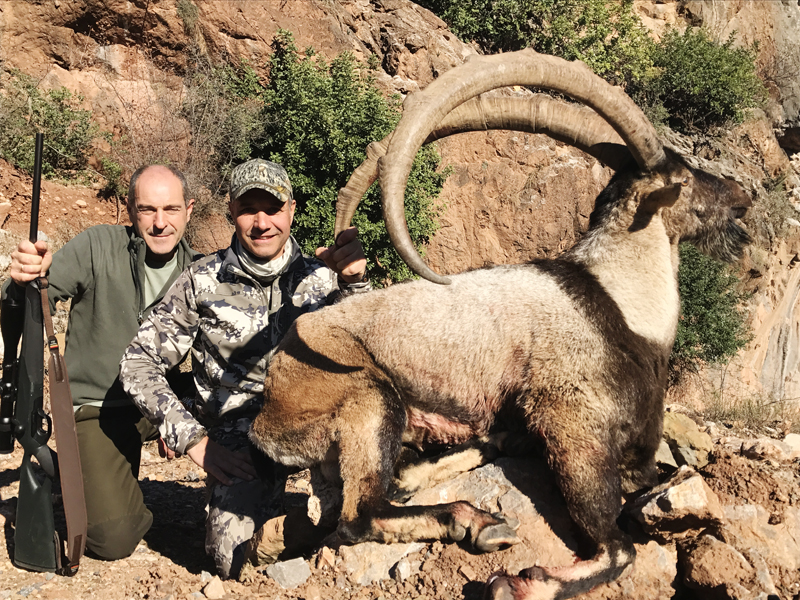 Hunter with a big bezoar ibex trophy in Turkey