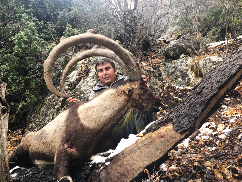 Hunter with a big bezoar ibex trophy in Turkey