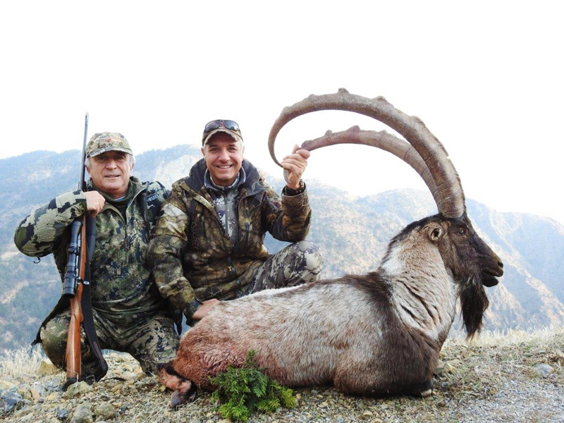 Two hunters with a big bezoar ibex trophy, hunting in Turkey