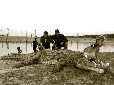 Crocodile hunt in Zimbabwe