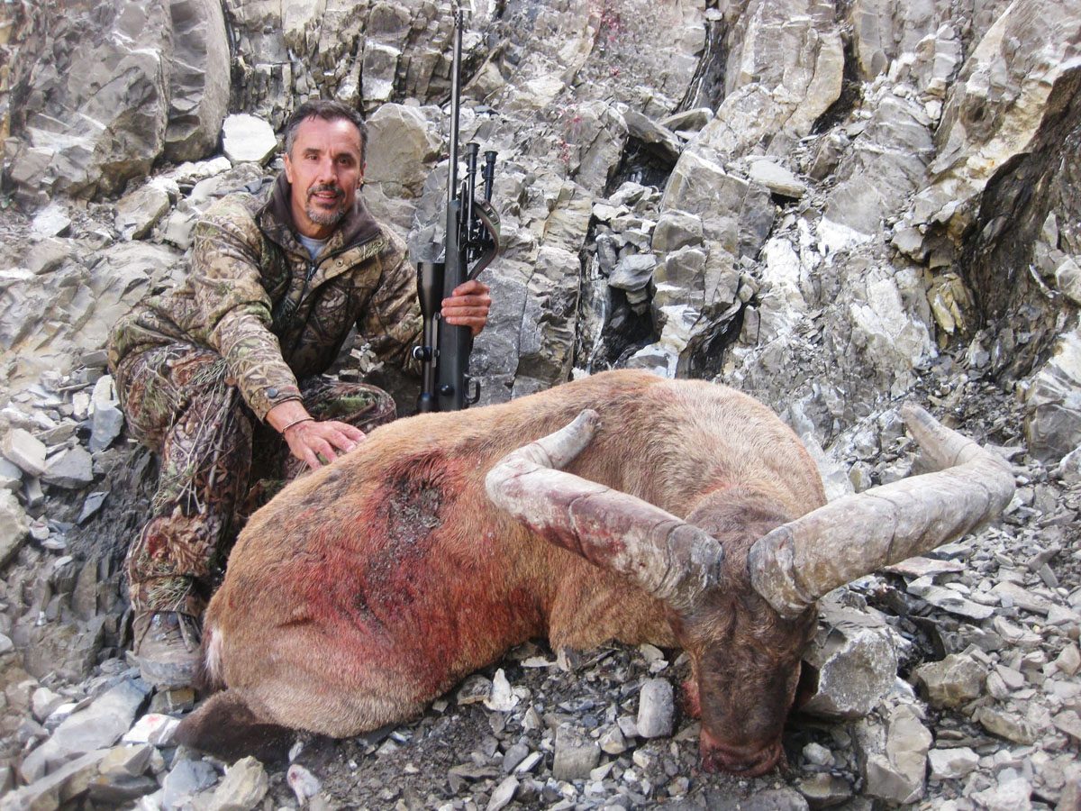 Hunter with a huge dagestan tur trophy, hunting in Russia