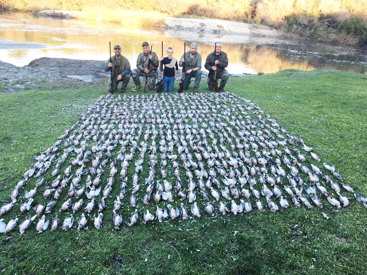 Duck shooting in Argentina