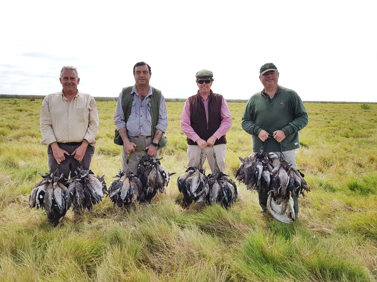For hunters in a duck shooting, hunting in Argentina