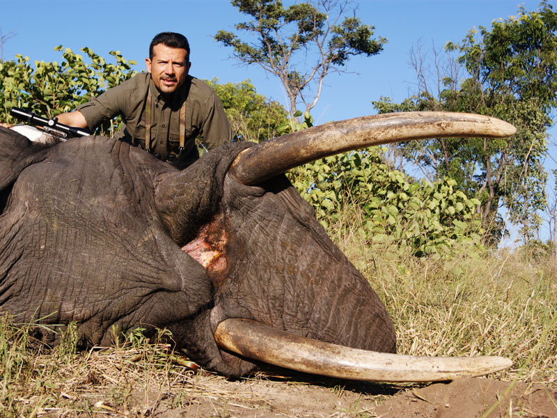 Hunter with an elephant trophy in Zimbabwe