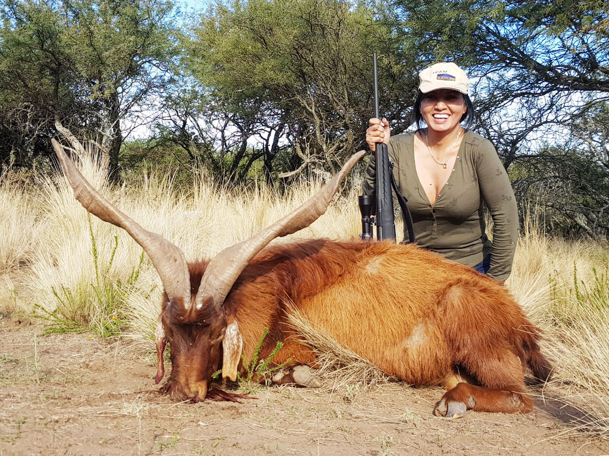 Huntress with a big feral goat trophy, hunting in Argentina