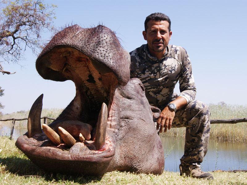 Hunter with a hippo trophy, hunting in Zimbabwe