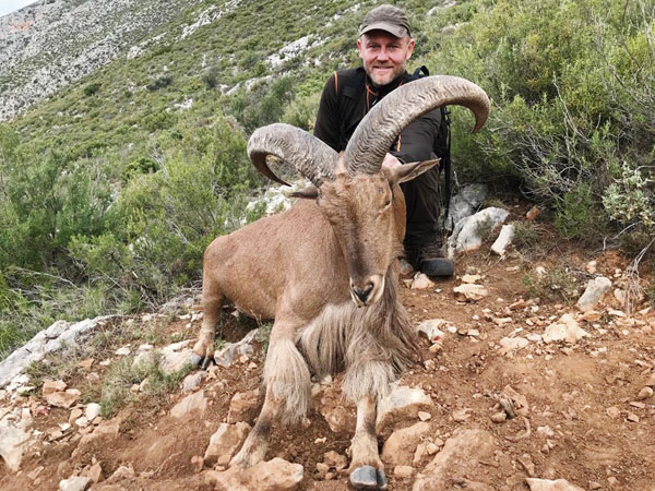 Jens Kjaer Knudsen with a beautiful Aoudad Sheep trophy in Spain