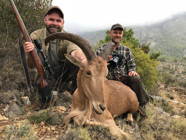 Thomas Lindy Nissen and Jens Kjaer Knudsen with a beautiful trophy of Aoudad Sheep female in Spain
