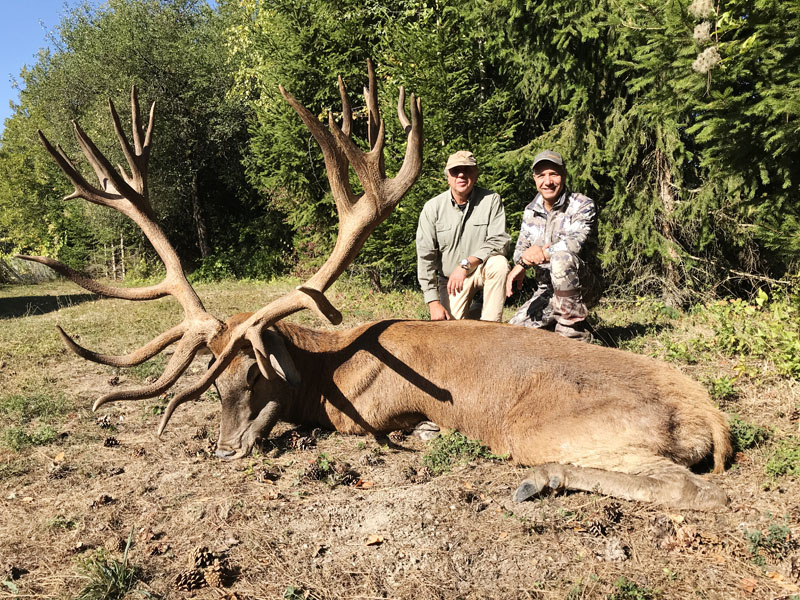 Hunter with a big red stag trophy, hunting in France