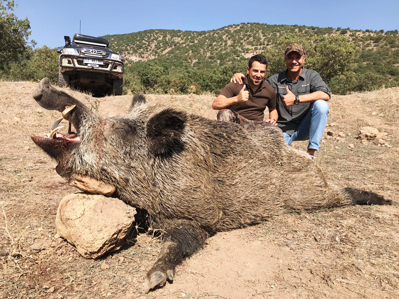 Two hunters with a big wild boar trophy, hunting in Turkey