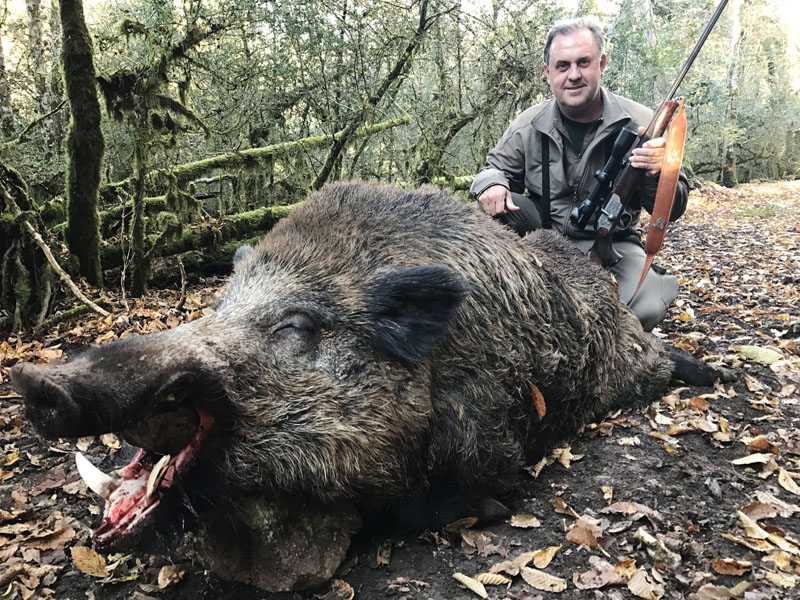 Hunter with a big wild boar trophy, hunting in France
