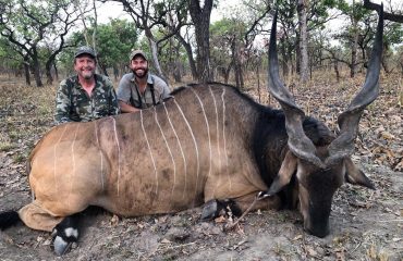 Lord Derby Eland trophy hunted by Tim Reiger, hunting in Cameroon