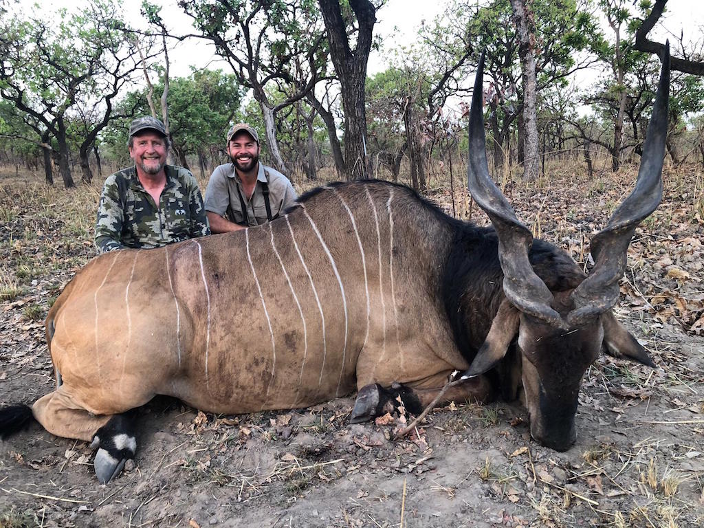Lord Derby Eland trophy hunted by Tim Reiger, hunting in Cameroon