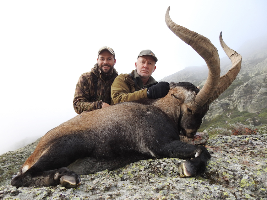Mike Qvist with his Gredos ibex hunted in Spain