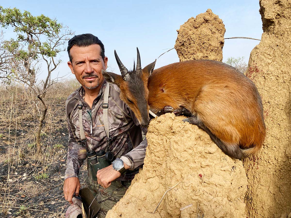 World record red duiker trophy hunted in Cameroon