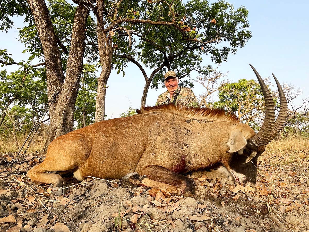 Western roan trophy hunted in Cameroon
