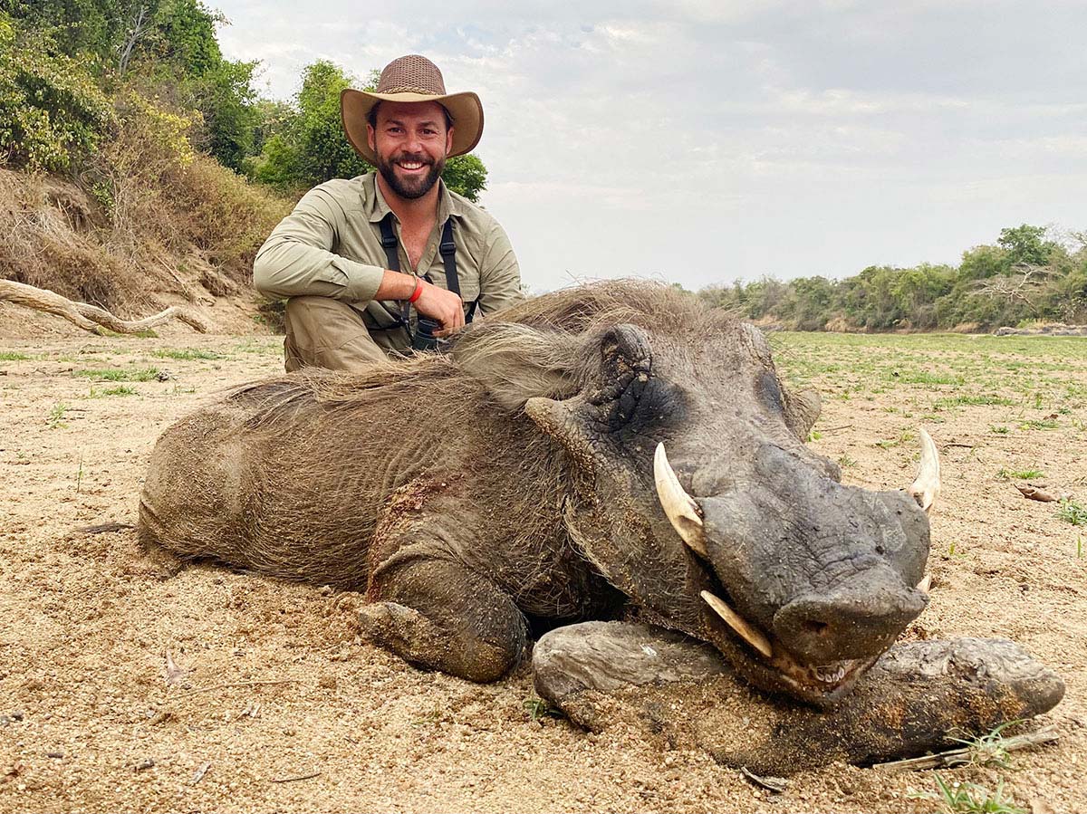 Warthog trophy hunted in Cameroon