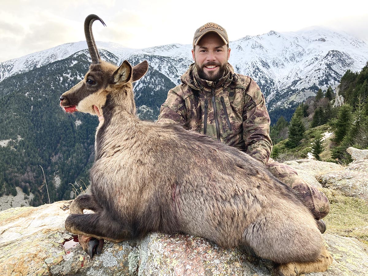 Pyrenean chamois hunting in Spain